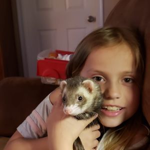 Meet your Posher, Dawn